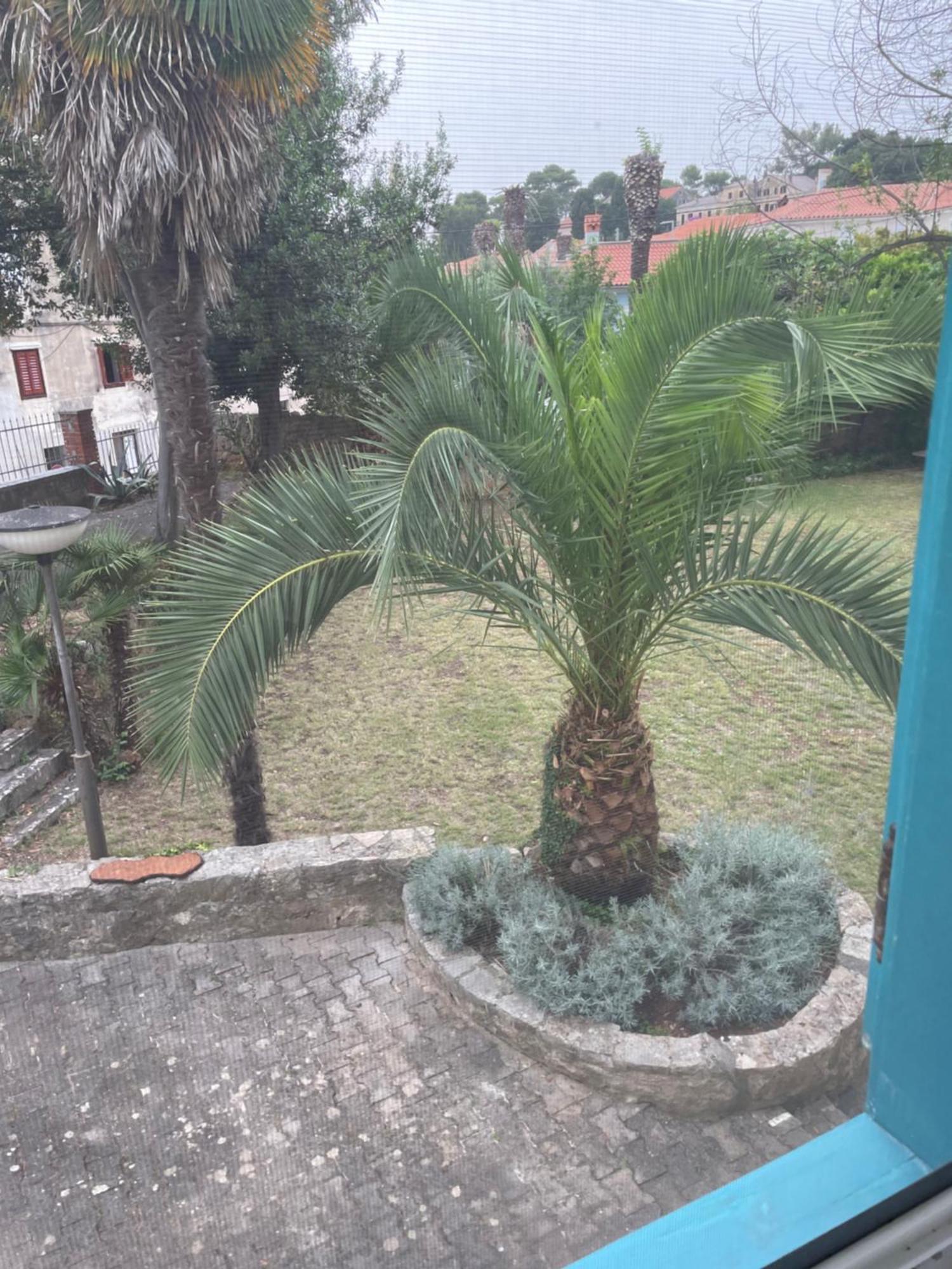 Bigblue House Appartement Veli Lošinj Buitenkant foto